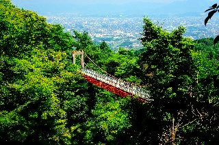 油山市民の森等リニューアル事業