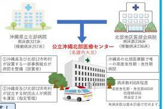 公立沖縄北部医療センター基本設計等支援業務