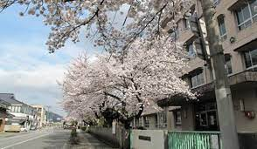 三次市立三次小学校改築工事基本・実施設計業務