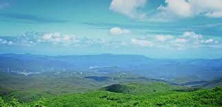 川内村庁舎等整備基本計画策定業務委託