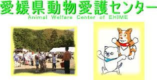 愛媛県動物愛護センター譲渡施設整備事業