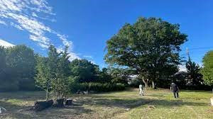 篠原地区公園 設計及びサウンディング業務委託