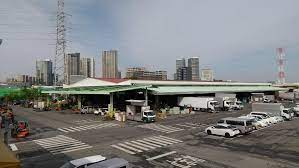 柏市公設総合地方卸売市場再整備及び市場用地活用基本計画策定支援等業務