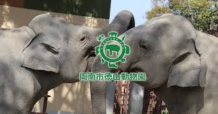 徳山動物園管理運営及び広場ゾーン外整備事業