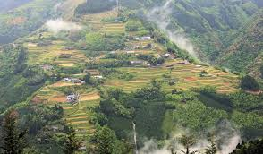 令和7年度 桑の木原住宅設計業務