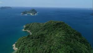 名南風鼻及び鷹島町有地への宿泊施設整備促進事業