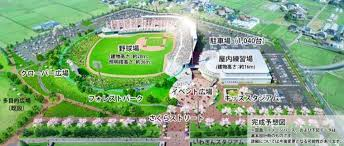 大宮スーパー・ボールパーク全体事業計画検討支援業務委託