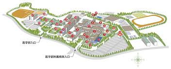 香川大学(三木町医学部)基礎臨床研究棟(2・3期)改修設計業務