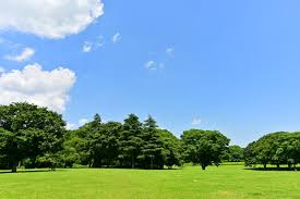 昭和の森 活性化施設整備・運営事業