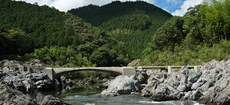 令和7年度(繰越) 仁淀川町竹ノ谷地区板材活用型住宅等整備工事