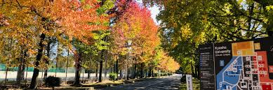 九州大学(筑紫)先導物質化学研究所本館改修設計業務(I期)