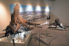 山形県新博物館・新スポーツ施設の配置環境基本計画策定支援業務