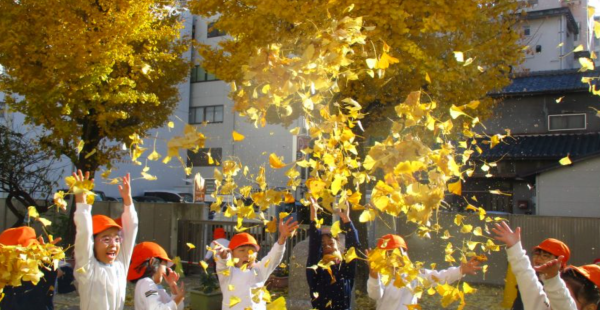 新長崎幼稚園建設に伴う基本・実施設計業務委託