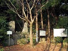 令和8年度　史跡興国寺城跡第1期整備(伝天守台周辺)基本設計等業務委託